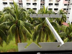 Blk 365 Clementi Avenue 2 (Clementi), HDB 3 Rooms #621184231